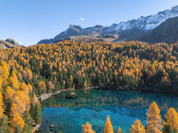 istock Autumn Forest Reflections in Clear Mountain Lake 2181596325