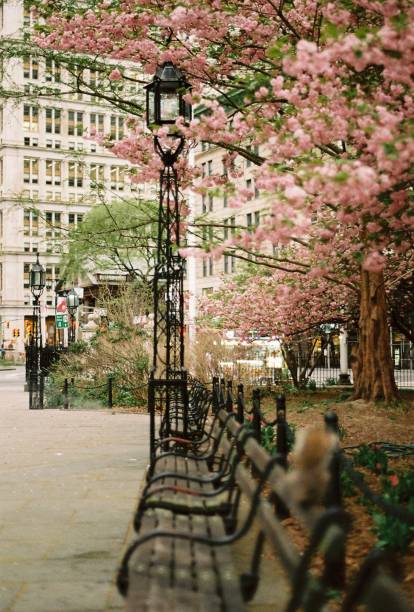 istock Springtime in New York - squirrel on park bench 2181599785