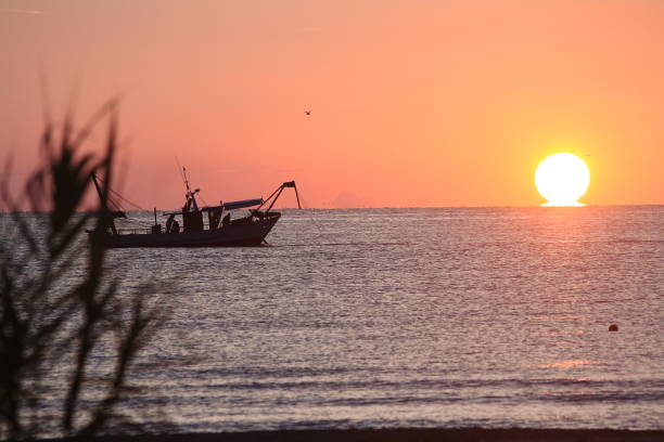 istock fishing boat at dawn 2181600050