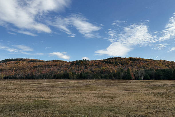 istock Autumn landscape with yellowed trees and blue sky with white clouds. 2181600874