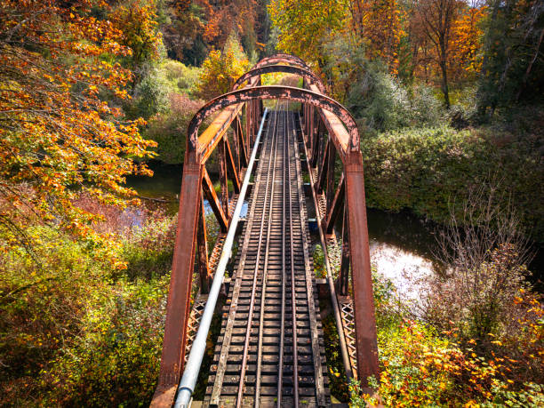 Arial view of a train trestle located in Duncan, British Columbia, surrounded by colorful trees in Autumn.