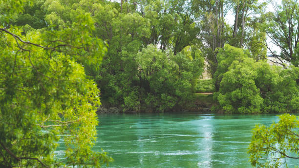 Tranquil lake in southern Chile, surrounded by rocks and trees, showcasing the natural beauty of the region.”