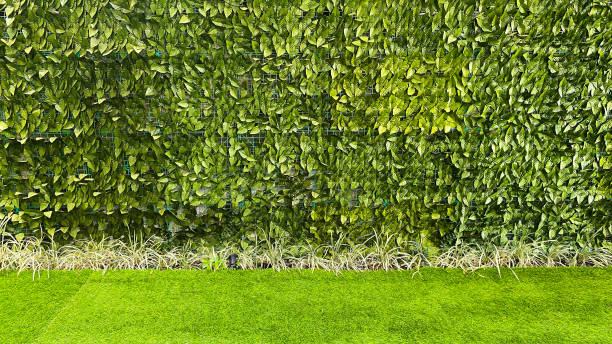 istock A wall covered in dense green foliage with artificial grass in front. Artificial plant for background 2181617654