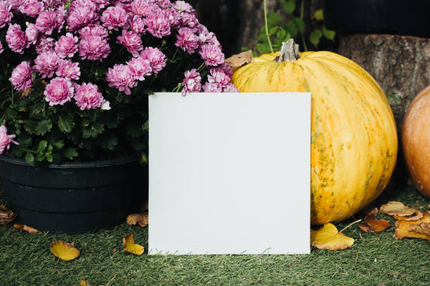 istock Blank square mock up pumpkins and flowers in a serene outdoor setting 2181621485