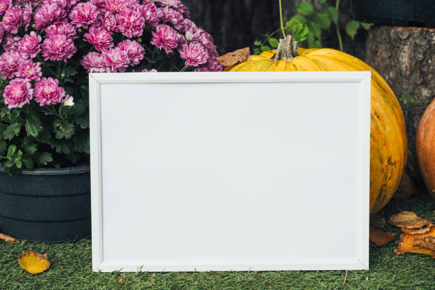 istock A blank canvas beside pumpkins and flowers in a garden setting 2181621520