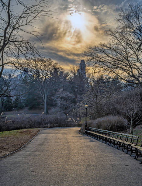 istock Central Park in winter , early morning 2181624597