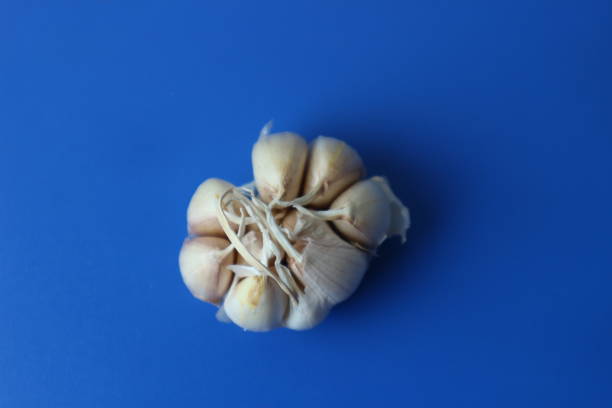 red and white onions on a blue background