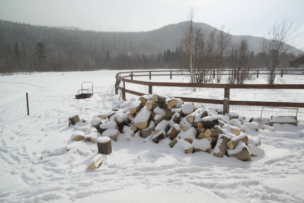 istock Firewood pile covered with snow, preparing firewood for winter. 2181626052