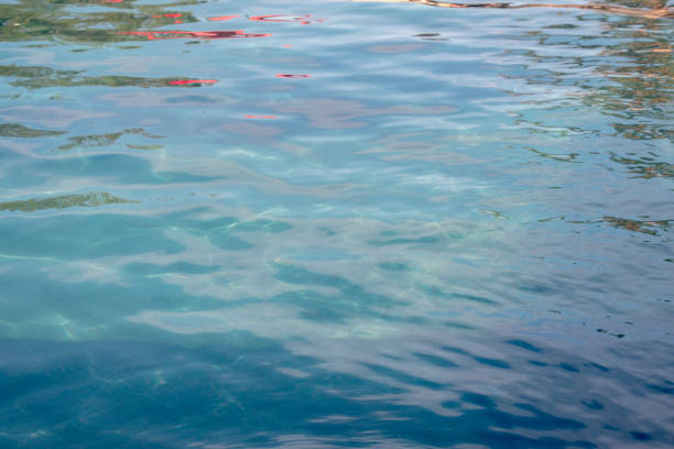 Water texture, sunlight reflecting on sea waves at sunset.
