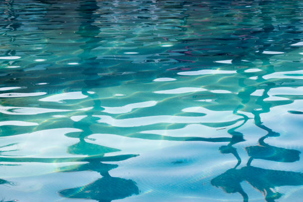 istock water texture in a swimming pool 2181626152