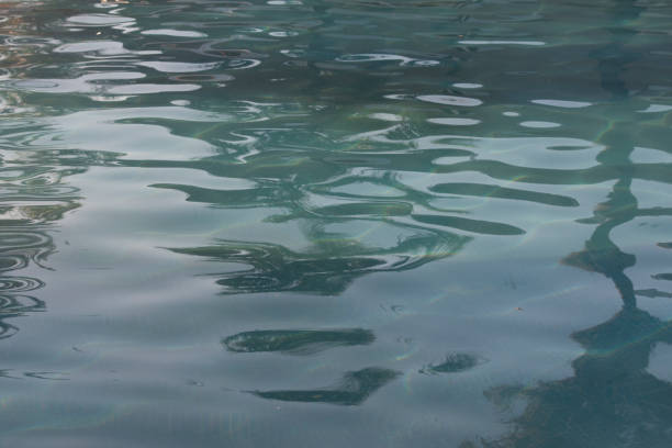 istock water texture in a swimming pool 2181627335
