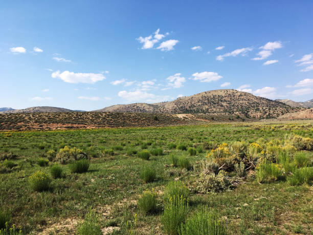 istock Grass meadow and mountain in rural Utah 2181628877