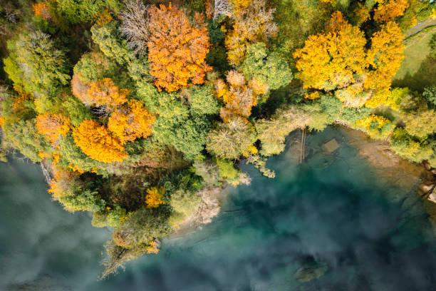 istock Autumn Colors Along The Riverside Viewed By Drone 2181631200