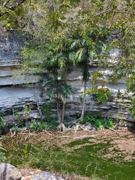 istock Chichen Itza cenote Yucatan Mexico 2181638031