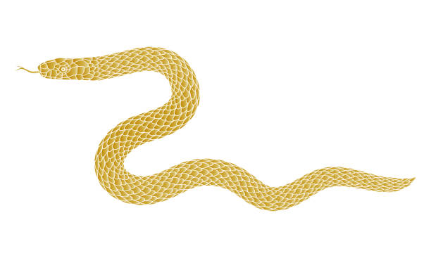 istock Illustration of a golden snake 2181649535