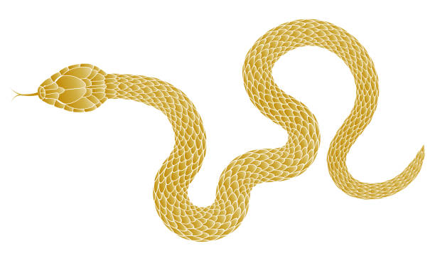 istock Illustration of a golden snake 2181649856