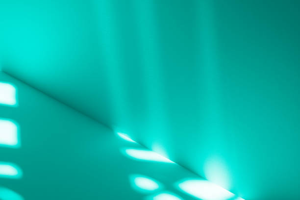 Studio style background wall decoration presentation uses white and green tones. with shadows cast from a nearby window, concept creating a decorative