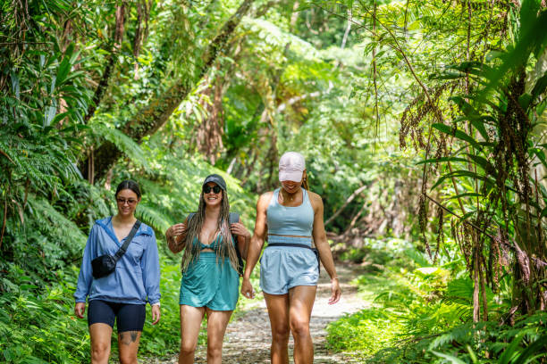 istock Three women heading off for a hike in the jungle 2181659694