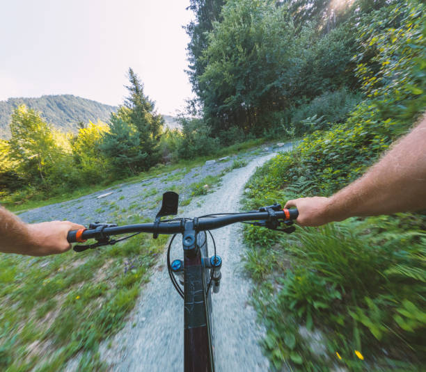 istock Cycling Adventure on a Scenic Forest Trail 2181661450