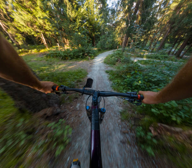 istock POV Mountain Biking Through Forest Trail 2181661477
