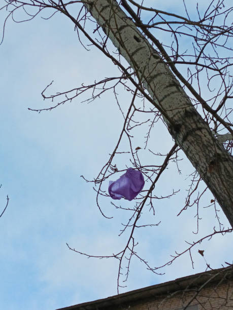 istock Plastic bag caught on tree branch. Plastic littering the environment. 2181664164