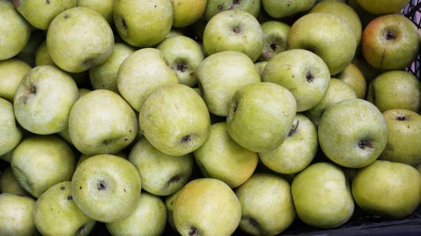 istock Green Apples in a Market Basket 2181664412