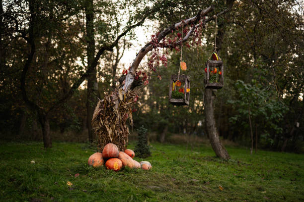 A tranquil autumn garden features an arrangement of pumpkins and rustic lanterns hanging from a tree branch, creating a cozy and inviting atmosphere.