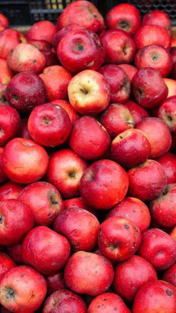 istock Red Apples at a Market Stall 2181664738