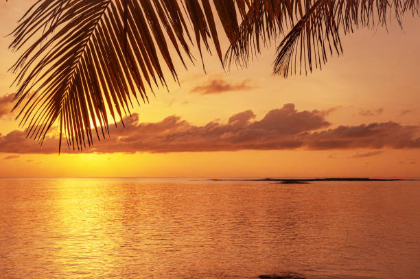 istock Twilight background of sunset over the tropical ocean 2181664852
