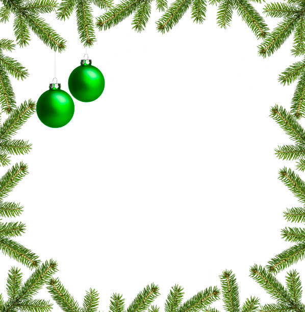 Fir branches in the shape of a frame