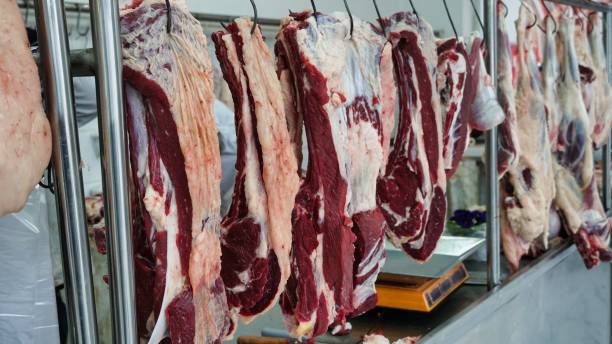 istock Butcher Shop Meat Hanging on Hooks 2181665001