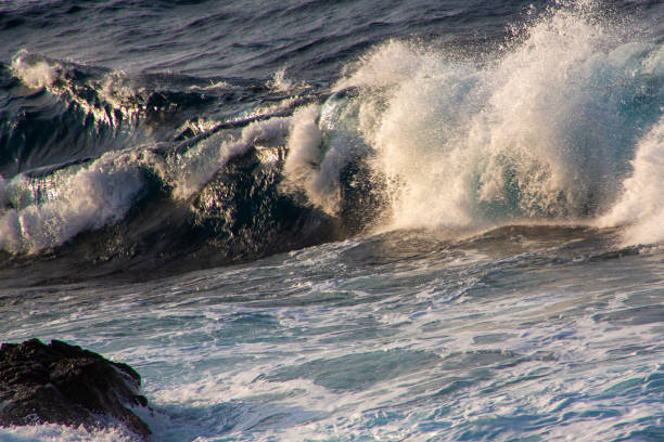 istock The landscape of Amami Oshima is always creative 2181665595