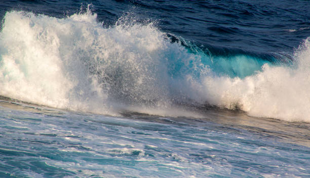 istock The landscape of Amami Oshima is always creative 2181665636