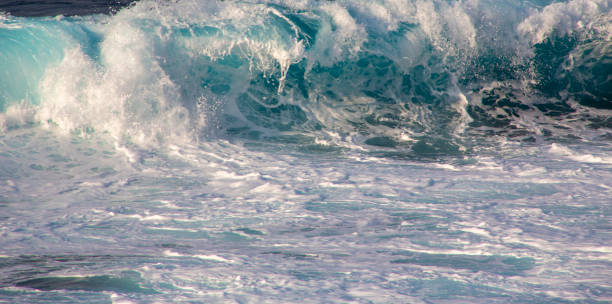 istock The landscape of Amami Oshima is always creative 2181665780
