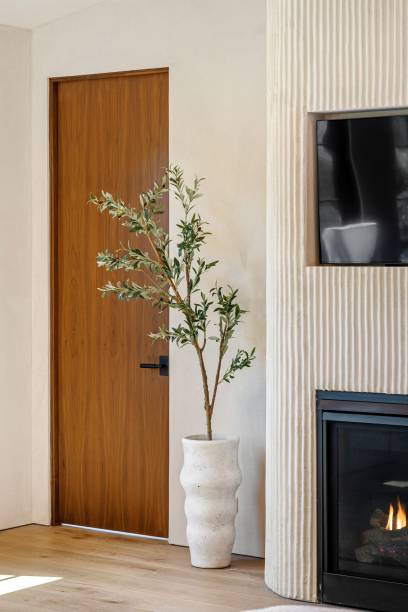 istock Modern interior with wooden door and fireplace 2181671697