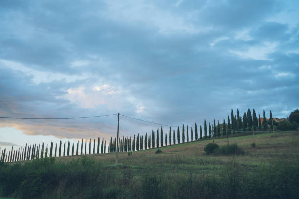 Young couple relax against stone wall, Tuscany