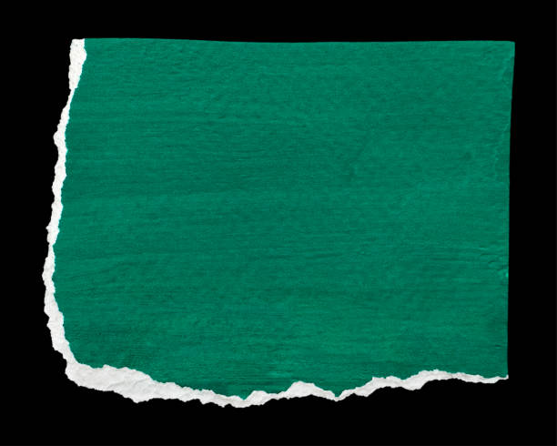 istock Green and White Textured Ripped Paper Piece 2181676205