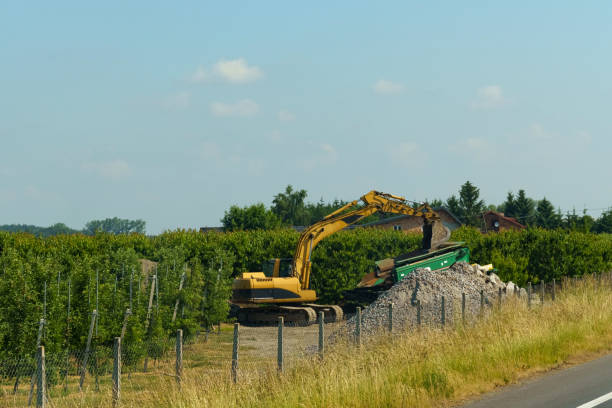 A powerful excavator works diligently to remove rocks and debris from a lush orchard. The bright day highlights the vibrant greenery surrounding the site, showcasing a hardworking landscape.