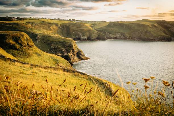 Scenic coastal landscape at sunset