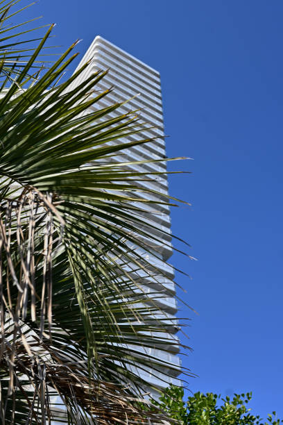 white tower building against blue sunny sky, palm leaves in the foreground