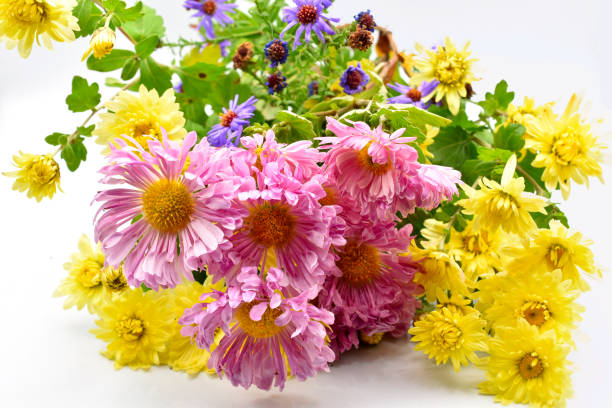Bright picture with the image of a bouquet of the last autumn flowers. Background image for a greeting card.