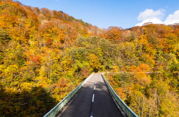 A high-angle view of a tall bridge crossing a mountain valley in Iwate,  North Japan during autumn with the mountainside covered in colorful trees.