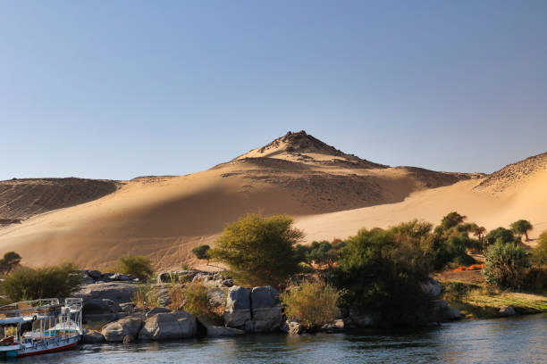 Serene scene depicting the lush greenery lining the calm waters of a river, contrasting against the arid desert dunes in the background, all set under a bright blue sky.