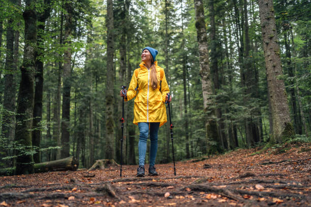 istock Young woman hiker in the forest 2181691042