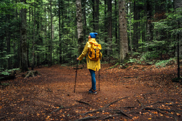 istock Woman on hiking in the forest 2181691285