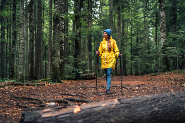 istock Woman on hiking in the forest 2181691619