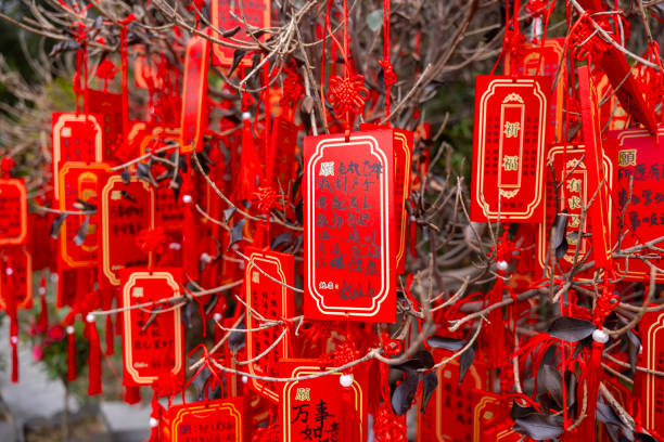 Changsha, China - 25 Feb 2024: A tree at Kaifu Temple is adorned with numerous red prayer cards, each bearing heartfelt wishes and traditional Chinese blessings.