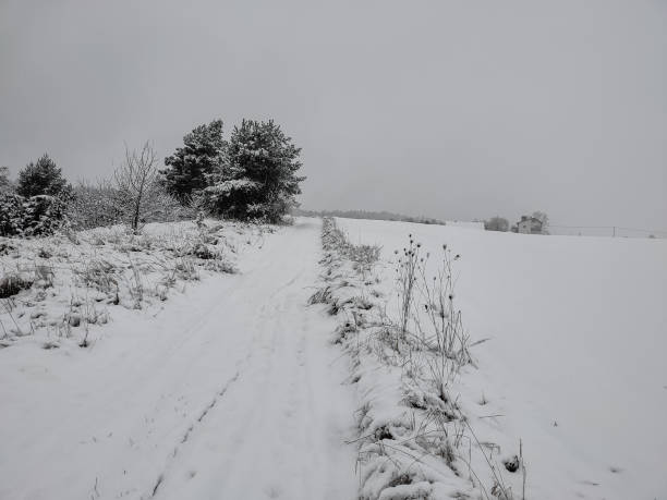 istock Snowy Countryside Landscape 2181694971