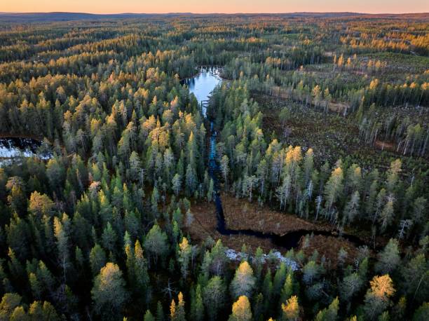 istock Aerial view of forest and river at sunset. 2181695291