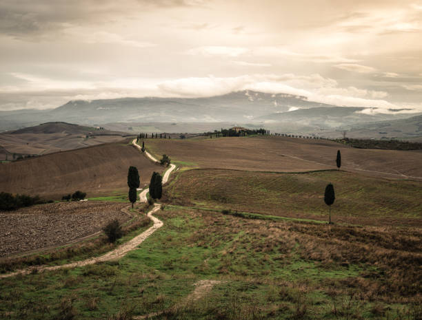 istock Gladiator Road in the Rolling Hills of Val d'Orcia, Tuscany 2181699372